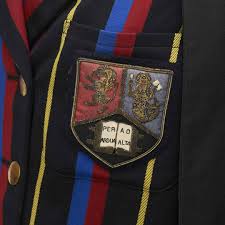 Image result for Birmingham University Lions