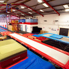 Image result for Plymouth Swallows Gc