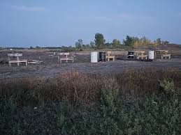 Image result for Tees Valley Target Sports