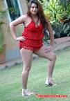 south-indian-glamour-actress-farahkhan-upskirt-pictures-4.jpg on