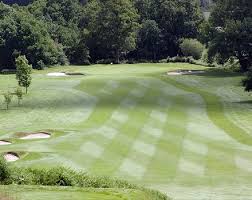 Image result for Betchworth Park Golf Club
