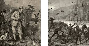 Image result for Shooting, Hunting, Fieldsports on Art prints from 1700's to 1900's
