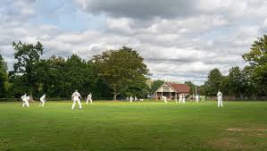 Image result for Wood Street Village Cricket Club