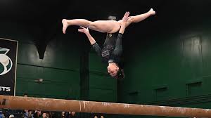 Image result for Amber Valley Gymnastics Club