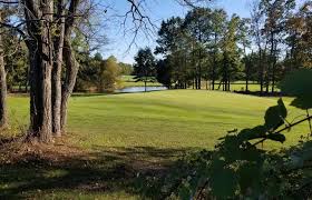 Image result for Fox Gc