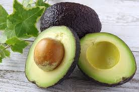 「アボカド大臣」の画像検索結果