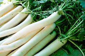 Image result for Rettich