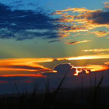 Attēlu rezultāti vaicājumam “Cloud Shadows”
