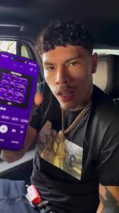 Attēlu rezultāti vaicājumam “Bryum funkii”