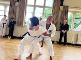 Image result for Bristol Karate Club