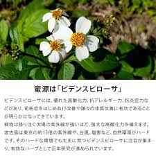 「蜂谷ミツヒサ」の画像検索結果