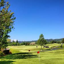 Image result for Peebles Golf Club