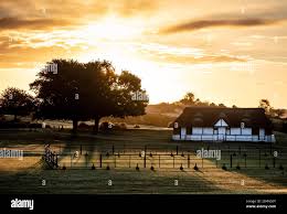 Image result for Lyndhurst Cricket Club