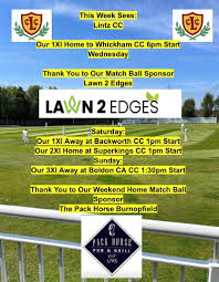 Image result for Lintz Cricket Club