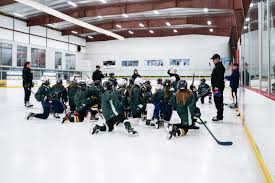 Image result for Fleet Hockey Club