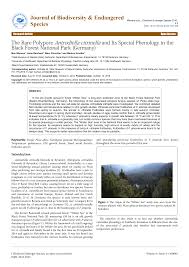 Attēlu rezultāti vaicājumam “Flaviporus citrinellus”