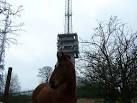 SO9688 : Turners Hill Mast - via Daymix