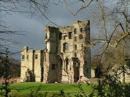 Image result for Ashby Castle Octopush Club