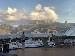 Attēlu rezultāti vaicājumam “Aranei exuvia”