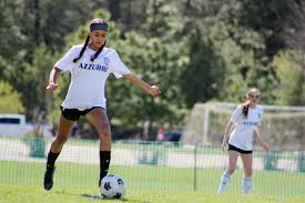 Image result for Azzurri Badminton Club