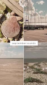 Image result for Lee On Solent Sailing Club