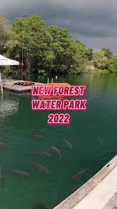 Image result for New Forest Water Park