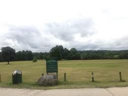 Image result for Frensham Cricket Club