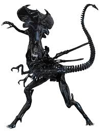 Image result for xenomorph