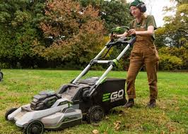 Image result for Justice Mowers Club