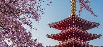 /MANKAI RED ZÖNE에 대한 이미지 검색결과