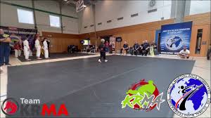 Image result for Devines Martial Arts