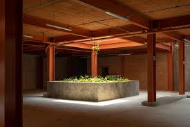 Kuvahaun tulos haulle tepoztla