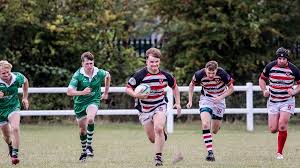Image result for Novocastrians Rugby Football Club