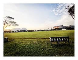 Image result for Rylands Cc