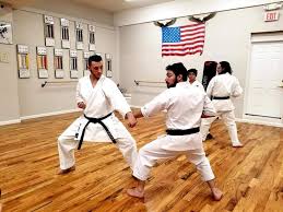 Image result for United Sport Karate