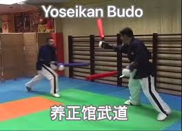 Image result for Yoseikan Budo England