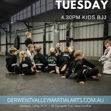 Image result for Derwent Valley Ju-Jitsu Academy
