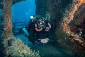 Image result for Headstream Divers