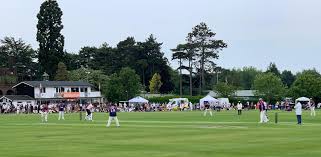 Image result for Luton Nomads Cricket Club