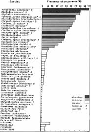 Image result for Pachymetopon grande