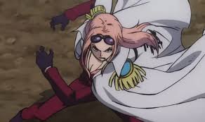 「ヒナ ONE PIECE」の画像検索結果