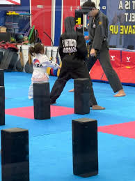 Image result for Mu-Sa Martial Arts and Fitness Centre