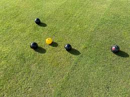 Image result for Crowcroft Park Veterans Social & Bowling Club