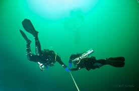 Image result for Bedford Scuba Divers