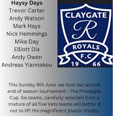 Image result for Claygate Royals Football Club