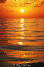 Image result for sunset