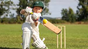Image result for Lydney Cricket Club