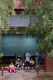 Image result for The Norfolk Brawds Roller Derby