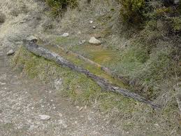 Image result for bacía