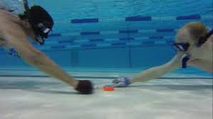 Image result for Stirling University Underwater Hockey Club